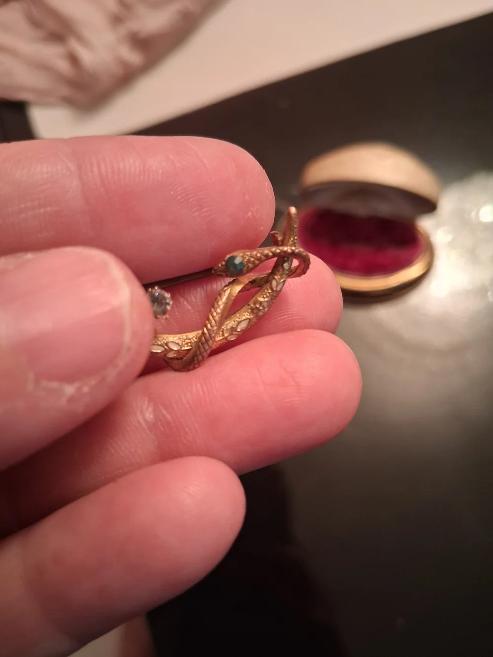 Scottish 1800s Victorian Snake Brooch